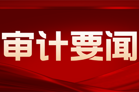 《中國審計報》｜擦亮金字招牌，護航經濟發展